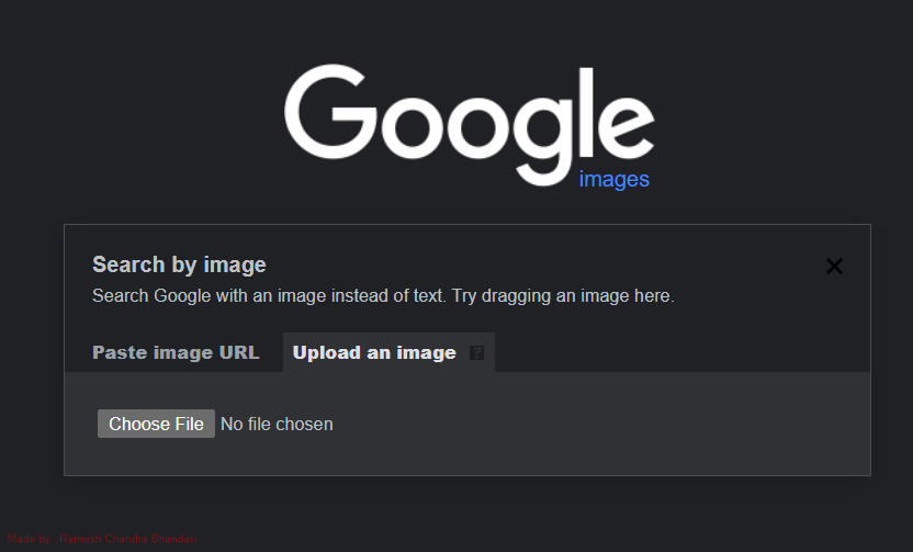 Google Reverse Image Search